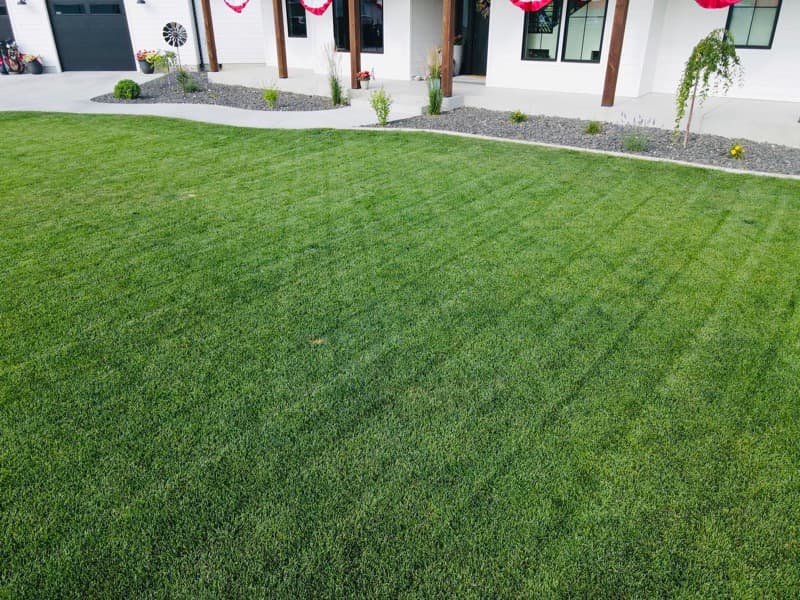 Lush striped lawn in front of a white farmhouse