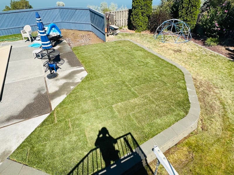 New sod edged with concrete curbing