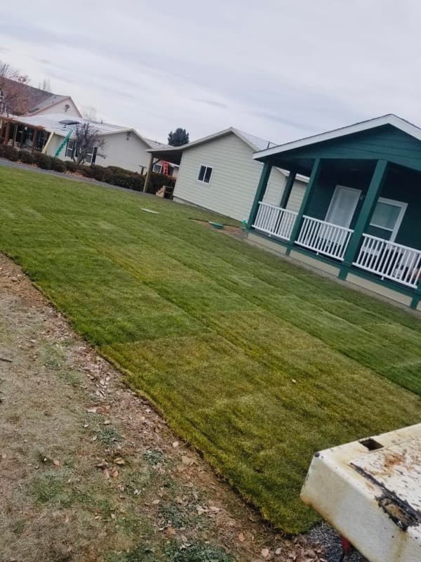 Freshly laid sod beside a home