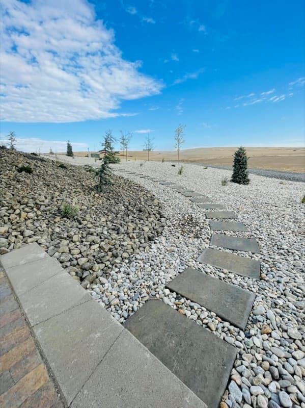 Stepping-stone path through river rock and young trees