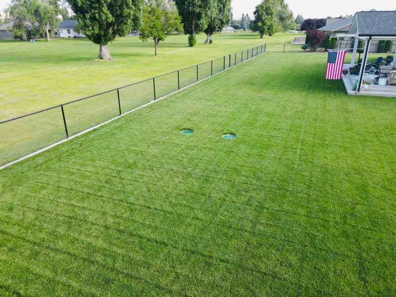 Long striped lawn with a black chain-link fence
