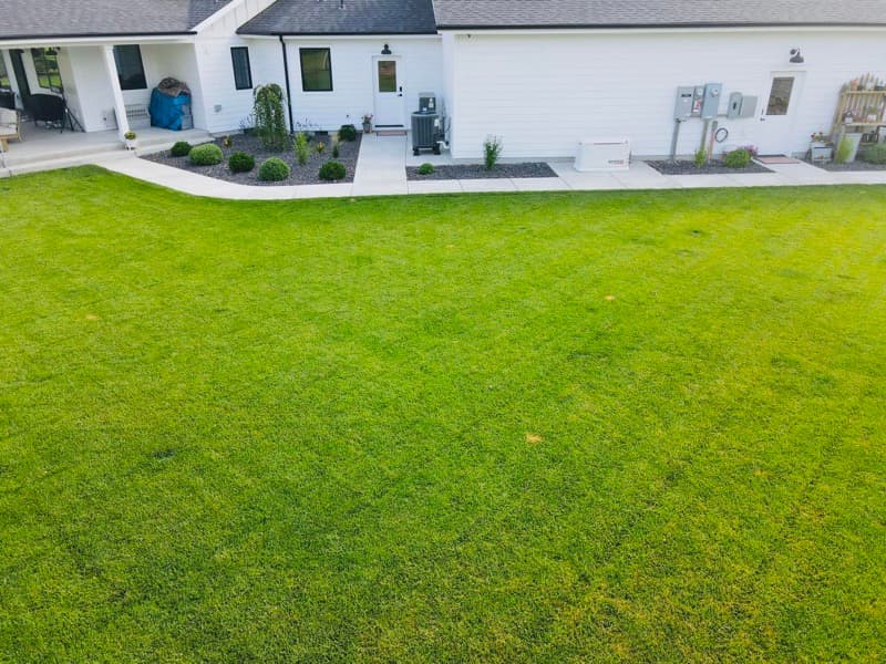 Striped lawn and planting beds behind a white home